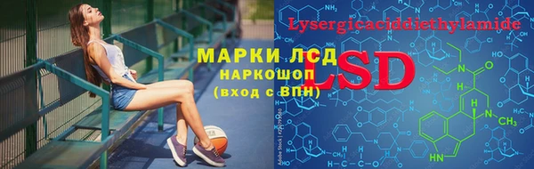 гашик Вяземский