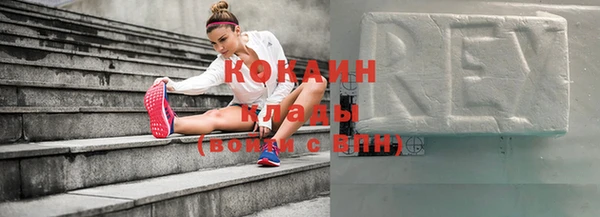 гашик Вяземский