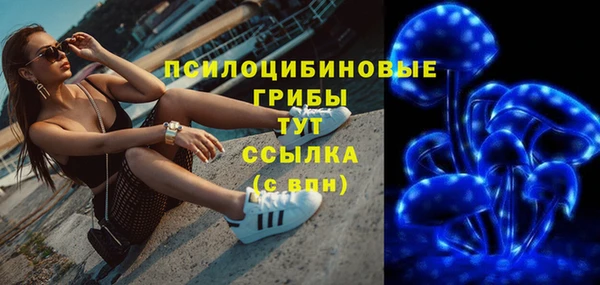 гашик Вяземский