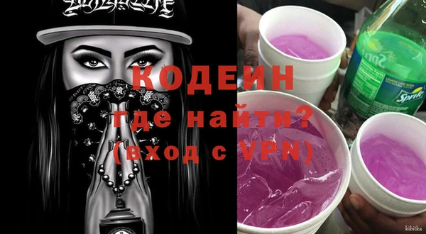 гашик Вяземский