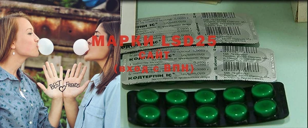 гашик Вяземский