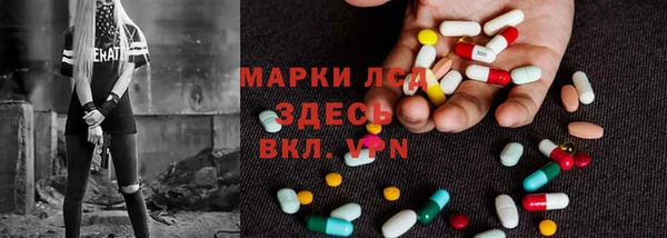 гашик Вяземский