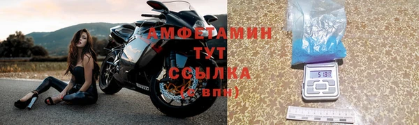 гашик Вяземский