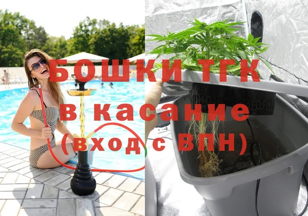 гашик Вяземский