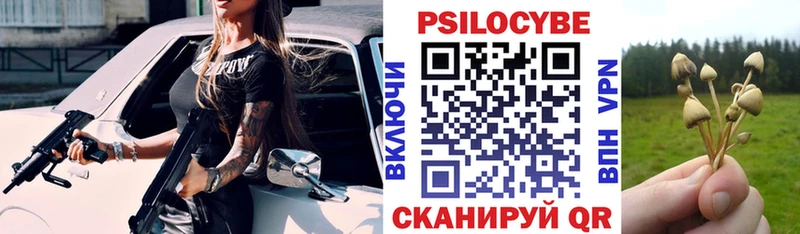 Галлюциногенные грибы Psilocybe  Знаменск 