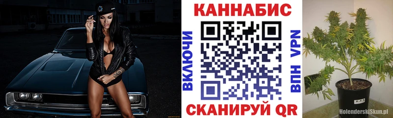Каннабис семена  MEGA ТОР  Знаменск 